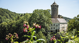 Kirchschlag Schloss Wildberg