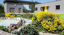 Schwimmbad Altheim in Altheim: Ein modernes Gebäude mit zwei Eingangstüren, umgeben von einer aufwendigen Gartenanlage. Der Vorgarten ist mit bunten Blumen in verschiedenen Gelbtönen bepflanzt und wirkt sehr gepflegt. Das Gebäude selbst hat eine graue, moderne Fassade und einen auffallend gelben Haupteingang.