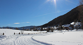 Eine verschneite Landschaft mit tiefblauem Himmel und strahlender Sonne. Langlaufspuren führen durch die unberührte Schneedecke in Richtung eines kleinen Dorfes.