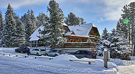 Ein schönes Haus im Winter, umgeben von schneebedeckten Bäumen. Autos stehen entlang der Straße auf frischem Schnee.