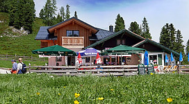 Ein gemütliches Almhütte mit Terrasse im Freien. Umgebung mit grünem Gras und Bäumen.