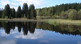 Naturbadeteich Rosenhof