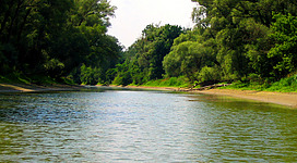 Donau-Auen bei Hainburg (Nachbearbeitung von [1])
