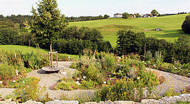 Kräuter- und Beerengarten im Obsterlebnisgarten Lohnsburg