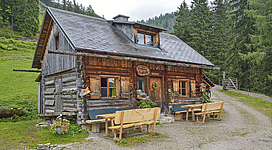 Eine gemütliche Blockhütte umgeben von Bäumen und Grünflächen. Vor der Hütte stehen mehrere Bänke und Tische.