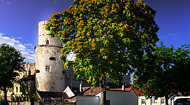 Burg Laa an der Thaya. This media shows the protected monument with ObjektID 130537 in Austria. (Commons, de, Wikidata)