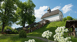 Die Burg Oberkapfenberg besichtigen