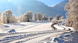 Hibernal landscape at Kleblach, municipality Kleblach-Lind, district Spittal an der Drau, Carinthia, Austria