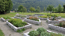 Engelszeller Sinnesgarten in Engelhartszell: Ein parkähnlicher Garten mit gepflanzten Beeten und Kieswegen. In der Mitte befinden sich erhöhte Hochbeete, die von Natursteinmauern umgeben sind. Bäume und Sträucher umgeben den Garten, wodurch eine idyllische Atmosphäre entsteht.