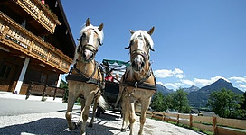 Pferdekutschenfahrt - Altroiterhof in St. Wolfgang im Salzkammergut: Das Bild zeigt zwei Pferde, die einen traditionellen Wagen durch eine ländliche Umgebung ziehen. Die Pferde tragen typisch geschmückte Geschirre und der Wagen ist auf einer gepflasterten Straße platziert, die von Gebäuden und einer bergigen Landschaft umgeben ist.