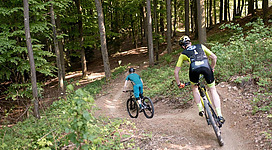 MTB Linz_Roadlberg_1