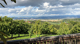Aussichtsplattform am Kirschblütenweg