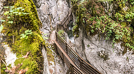 Eine schmale Holzbrücke führt durch eine beeindruckende Schlucht. Die Umgebung ist von moosbedeckten Felsen und üppigem Grün geprägt.