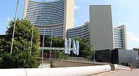 Eine Führung durch die UNO City machen