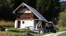 Ein charmantes, rustikales Holzhaus in einer ländlichen Umgebung. Umgeben von Bäumen und einer kleinen Auffahrt.