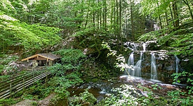 Einen Ausflug zur Kugelmühle im Teufelsgraben machen