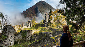 Ruine Scharnstein - Waldraum