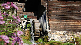 Das Freilichterlebnis Museum 7 Mühlen besuchen