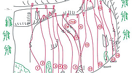 Eine einfache Kletterkarte mit roten Linien, die verschiedene Routen zeigt. Die Karte umfasst auch Beschriftungen für die Schwierigkeitsgrade der Kletterstellen.