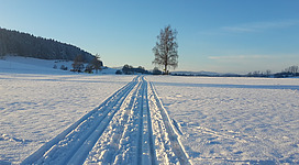 Langlaufen Hirschbach