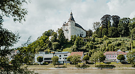 Efrischender Donauzugang in Wilhering östlich der Donaufähre Ottensheim/Wilhering