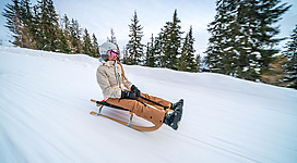 Eine Person fährt auf einem Schlitten den verschneiten Hang hinunter. Im Hintergrund sind hohe Tannenbäume und ein klarer Himmel zu sehen.