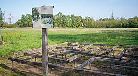Wald- und Bienenlehrpfad