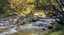 Landschaftsbild von den Gimbach Kaskaden in Weissenbach am Attersee, Salzkammergut.