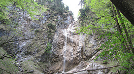 Wasserfall Kreuzstein, seitlich Bäume, am Boden Steine