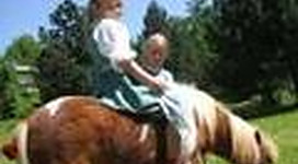 Zwei Kinder sitzen auf einem kleinen Pony in einer grünen Wiese. Es ist ein sonniger Tag mit Bäumen im Hintergrund.