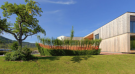 Ein modernes Gebäude mit Holzverkleidung und großen Fenstern. Im Vordergrund steht ein Baum und ein gepflegter Garten mit hohen Pflanzen.