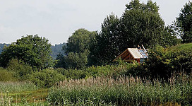 Naturschutzgebiet Koaserin nahe des Sauwaldes.