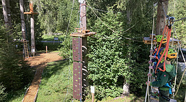 Kinder klettern im Hochseilgarten zwischen Bäumen auf den verschiedenen Stationen.