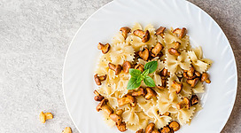 Ein Teller Pasta mit Pilzen und frischem Basilikum. Die Farfalle sind lecker angerichtet und laden zum Essen ein.