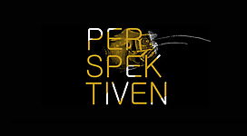 Logo Perspektiven Attersee