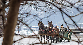 Eine Kutsche mit zwei Pferden steht im Schnee. Im Hintergrund sind Bäume und eine winterliche Landschaft sichtbar.