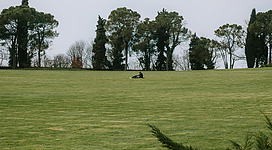 Golf spielen im Golf Club Enzesfeld