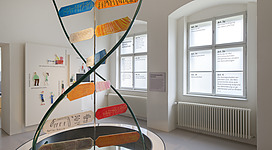 Lern- und Gedenkort Schloss Hartheim in Alkoven: In der Mitte des Raumes befindet sich eine große, dreidimensionale Konstruktion mit verschiedenfarbigen Elementen. An den Wänden hängen Informationstafeln mit Text und grafischen Darstellungen. Die Fenster lassen viel natürliches Licht in den Raum.