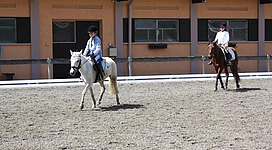 Zwei Reiterinnen auf dem Pferd in einer Reithalle. Eine reitet ein graues Pferd und die andere ein braunes Pferd.