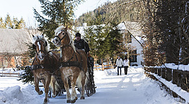 Eine winterliche Landschaft mit Schnee und Tannenbäumen. Zwei Pferde ziehen eine Kutsche, während Menschen im Hintergrund spazieren gehen.