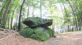 Jungfraustein in Natternbach: Ein Waldpfad, gesäumt von hohen, grünen Bäumen, führt zu einer beeindruckenden Felsformation, die mit Moos bedeckt ist. Die natürliche Umgebung vermittelt eine friedliche, ruhige Atmosphäre.