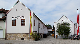 Das Weinkulturzentrum in der burgenländischen Gemeinde Gols.