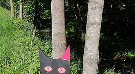 Ein buntes Schild, das "Katzeninsel" anzeigt, steht an einem Baum im Wald. Unter dem Schild sind zwei stilisierte Katzen aus Holz zu sehen.