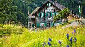 Ein rustikales Holzhaus umgeben von grünen Wiesen und bunten Blumen. Im Hintergrund sind hohe Berge und Wälder sichtbar.