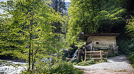 Eine rustikale Hütte umgeben von Bäumen und grüner Natur. Ein schmaler Weg führt zum Wasser.