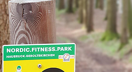 Ein Wegweiser im Wald für den Nordic Fitness Park. Er zeigt die Richtung für Nordic Walking und enthält Hinweise zu den Strecken.