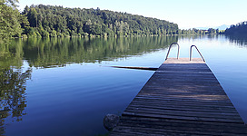 Höllerersee in St. Pantaleon: Ein ruhiger Bergsee mit einem Holzsteg, der sich weit in das friedlich glitzernde Wasser erstreckt. Umgeben von einem dichten, grünen Waldgebiet mit Nadelbäumen, die sich in der glatten Oberfläche des Sees spiegeln. Eine idyllische, naturbelassene Umgebung, die zum Verweilen und Entspannen einlädt.