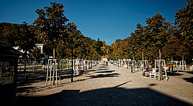 Baden bei Wien - Kurpark / Stadtpark - View North
