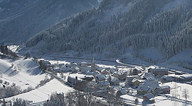 Wald am Schoberpass im Bezirk Leoben