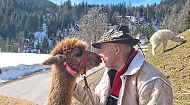 Ein Mann küsst ein Alpaka auf der Wiese. Im Hintergrund sind schneebedeckte Berge und Bäume zu sehen.